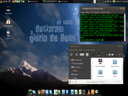 Cinnamon Fedora 20